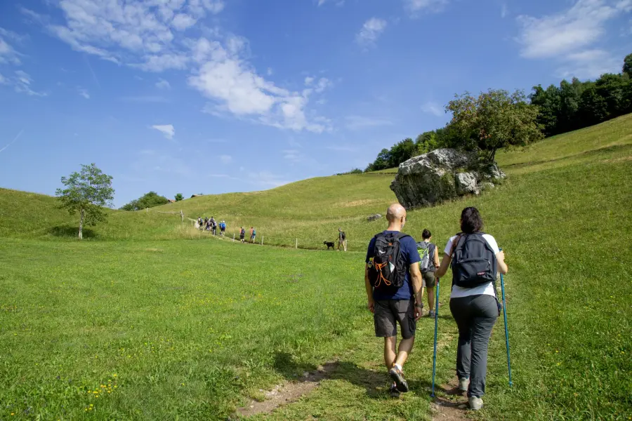 Parco Nazionale della Sila: escursioni e natura