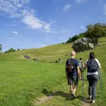 Parco Nazionale della Sila: escursioni e natura